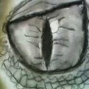 Meet your Posher, Kami